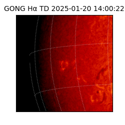 gong - 2025-01-20T14:00:22