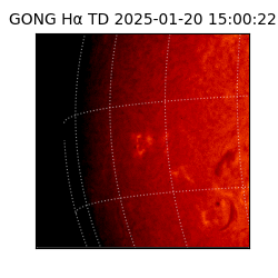 gong - 2025-01-20T15:00:22