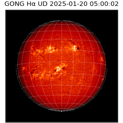 gong - 2025-01-20T05:00:02