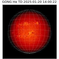 gong - 2025-01-20T14:00:22