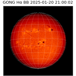 gong - 2025-01-20T21:00:02