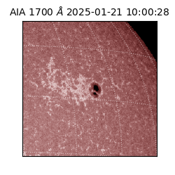 saia - 2025-01-21T10:00:28.717000
