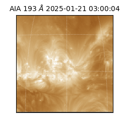 saia - 2025-01-21T03:00:04.844000