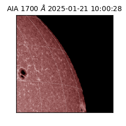 saia - 2025-01-21T10:00:28.717000