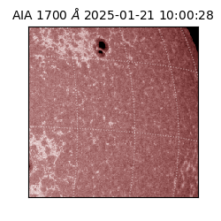 saia - 2025-01-21T10:00:28.717000