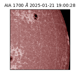 saia - 2025-01-21T19:00:28.717000