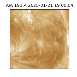 saia - 2025-01-21T19:00:04.846000