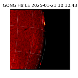 gong - 2025-01-21T10:10:43