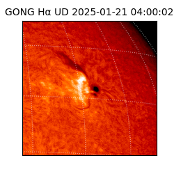 gong - 2025-01-21T04:00:02