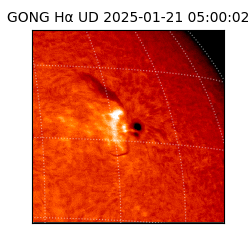 gong - 2025-01-21T05:00:02