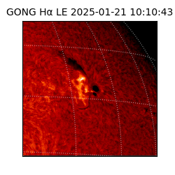 gong - 2025-01-21T10:10:43