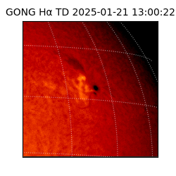 gong - 2025-01-21T13:00:22