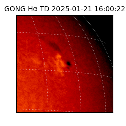 gong - 2025-01-21T16:00:22