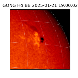 gong - 2025-01-21T19:00:02
