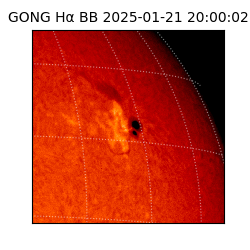 gong - 2025-01-21T20:00:02