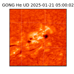 gong - 2025-01-21T05:00:02