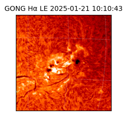 gong - 2025-01-21T10:10:43