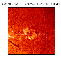 gong - 2025-01-21T10:10:43