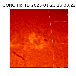 gong - 2025-01-21T16:00:22