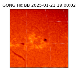 gong - 2025-01-21T19:00:02