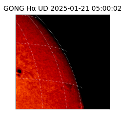 gong - 2025-01-21T05:00:02