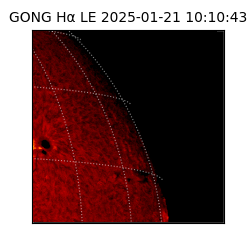 gong - 2025-01-21T10:10:43