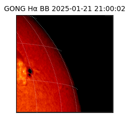 gong - 2025-01-21T21:00:02
