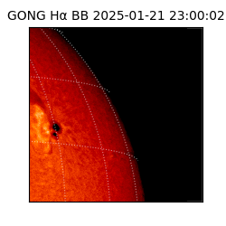 gong - 2025-01-21T23:00:02