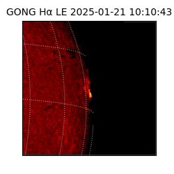 gong - 2025-01-21T10:10:43