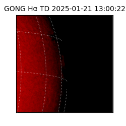 gong - 2025-01-21T13:00:22