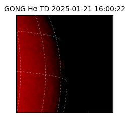 gong - 2025-01-21T16:00:22
