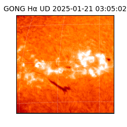 gong - 2025-01-21T03:05:02
