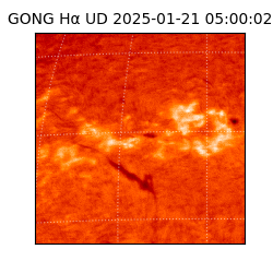 gong - 2025-01-21T05:00:02