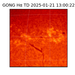 gong - 2025-01-21T13:00:22