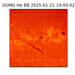 gong - 2025-01-21T19:00:02