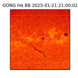 gong - 2025-01-21T21:00:02