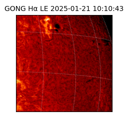 gong - 2025-01-21T10:10:43