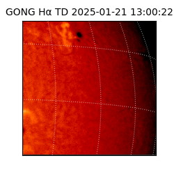 gong - 2025-01-21T13:00:22
