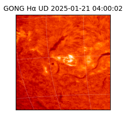 gong - 2025-01-21T04:00:02