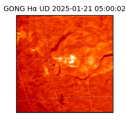 gong - 2025-01-21T05:00:02