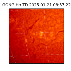 gong - 2025-01-21T08:57:22