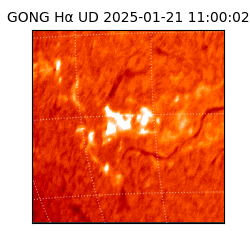 gong - 2025-01-21T11:00:02