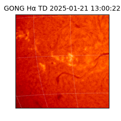 gong - 2025-01-21T13:00:22