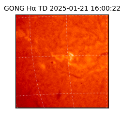 gong - 2025-01-21T16:00:22