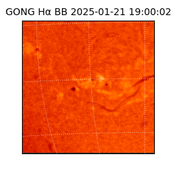 gong - 2025-01-21T19:00:02