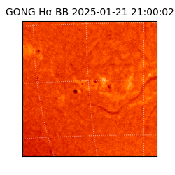 gong - 2025-01-21T21:00:02