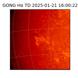 gong - 2025-01-21T16:00:22