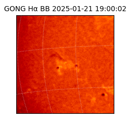gong - 2025-01-21T19:00:02
