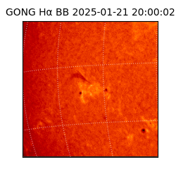 gong - 2025-01-21T20:00:02