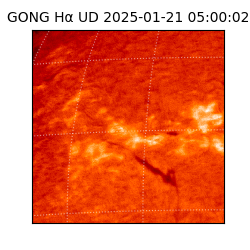 gong - 2025-01-21T05:00:02